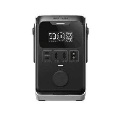 EcoFlow TRAIL 300 DC + 60W Portable Solar Panel product view