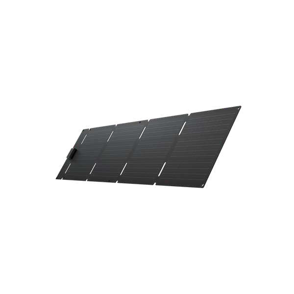 EcoFlow TRAIL 300 DC + 60W Portable Solar Panel product view