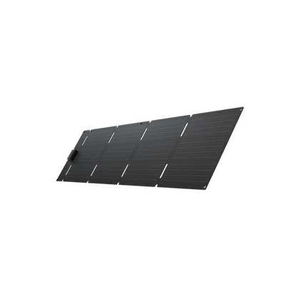 EcoFlow TRAIL 300 DC + 60W Portable Solar Panel product view